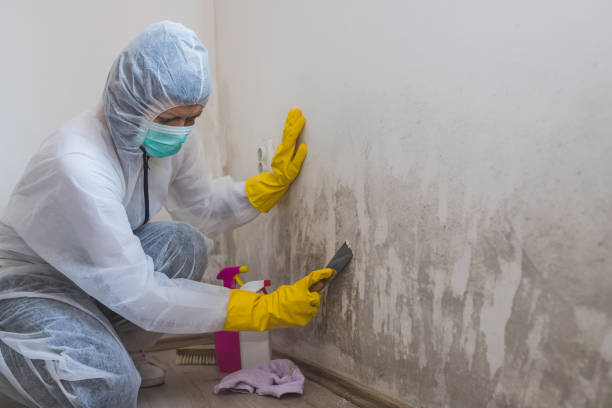 Best Mold Cleaning Services  in Tichigan, WI