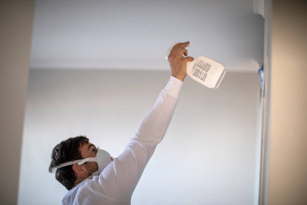 Best Mold Remediation Services  in Tichigan, WI