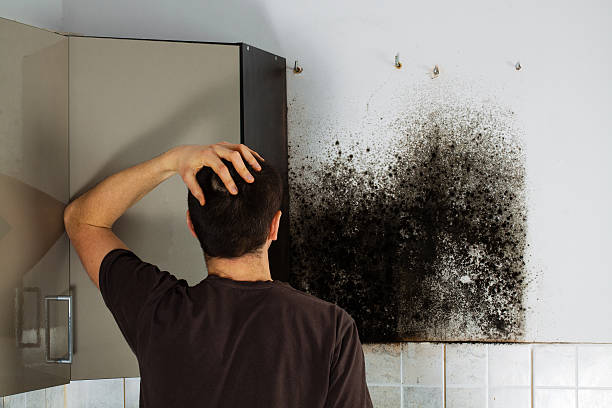 Water Damage Restoration in Tichigan, WI